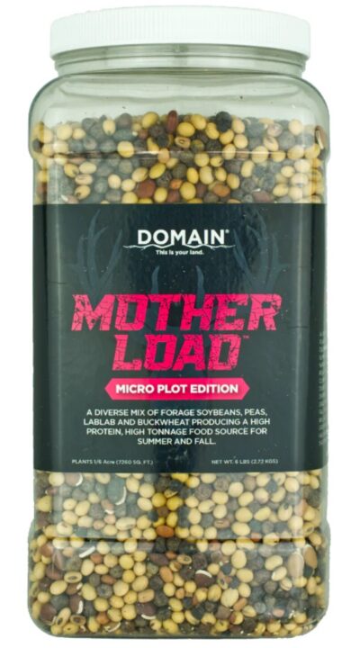 DOMAIN MLFP6-MICRO MOTHER LOAD – MICRO