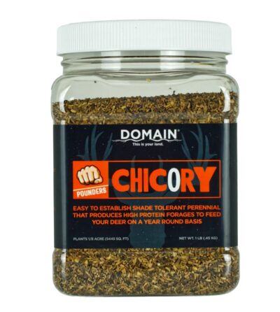Domain Chicory Pounder Seed 1/8 Acre