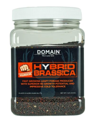 Domain Hybrid Brassica Pounder Seed 1/4 Acre