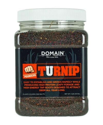 DOMAIN DTS1LB      POUNDER – TURNIP