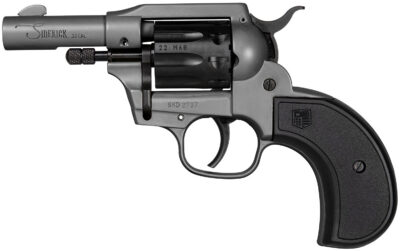 DIA DB0600A051 22LR/WMR SDKCK BIRDSHD 3 9R GRY