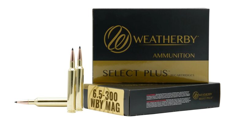 WBY AMMO 6.5-300WBY 129G HAMMER CUSTOM 20/10