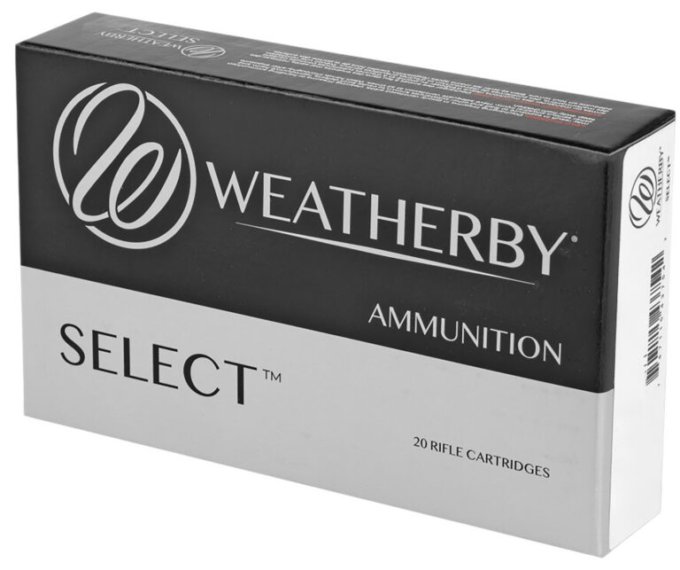 WBY AMMO 340WBY 250GR INTERLOCK 20/10