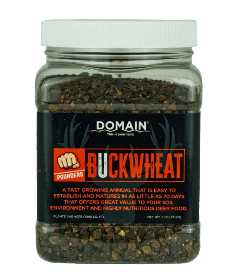 Domain DBWS1LB Pounder – Buckwheat Domain DBWS1LB Pounder – Buckwheat
