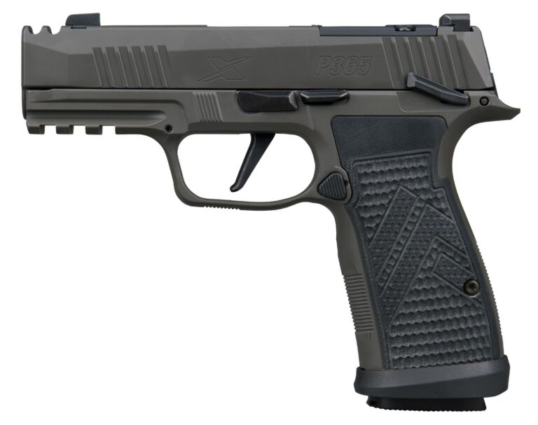 P365 AXG LEG MS 3.1″ MA 10+1
