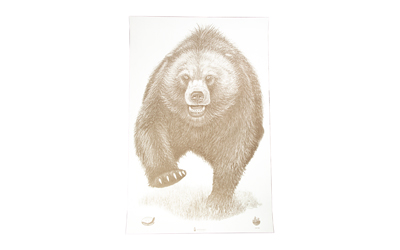 ACTION TGT AK STATE PARK BEAR 100PK ACTION TGT AK STATE PARK BEAR 100PK
