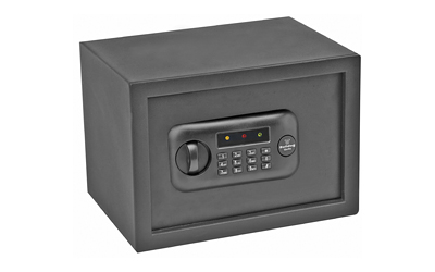 Standard Digital Pistol Vault 13.5x10x10