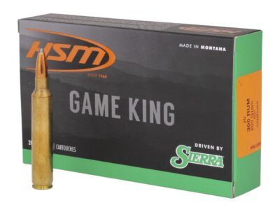HSM 300WINMAG14N Game King  300 Win Mag 200 gr Sierra GameKing Spitzer Boat Tail 20 Per Box/ 20 Case