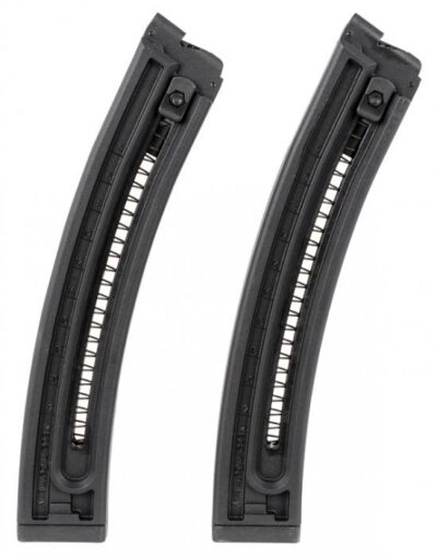 GSG GSG-16 .22LR 22 ROUND MAGAZINE TWIN PACK