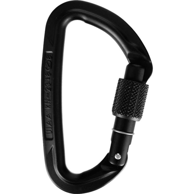 Wild Country Session Screw Gate Carabiner Black Wild Country Session Screw Gate Carabiner Black
