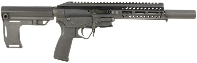 PSG .22LR PISTOL 8″ BLK BRACE PSG .22LR PISTOL 8″ BLK BRACE