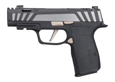 P365 AXG EQUINOX 9MM 3.1″ 12+1