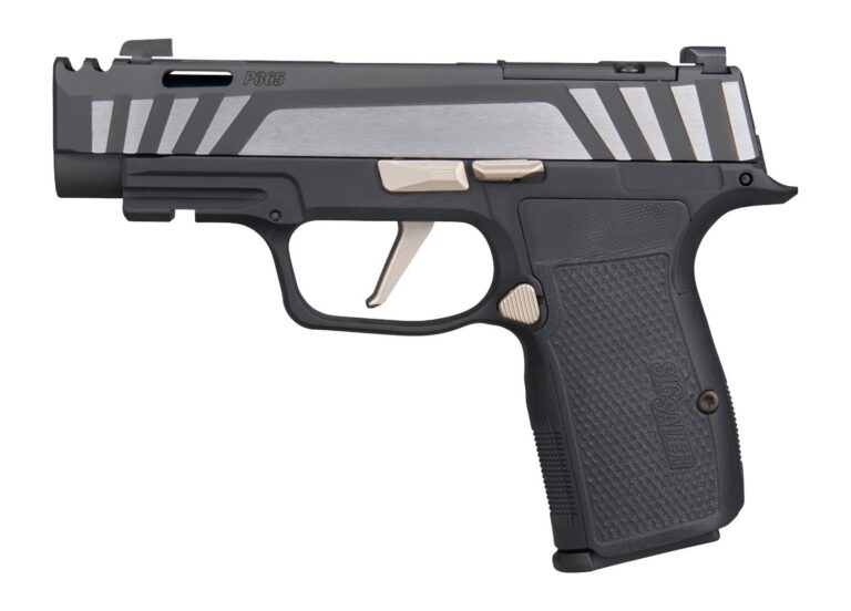 P365 AXG EQUINOX 9MM 3.1″ 12+1 P365 AXG EQUINOX 9MM 3.1″ 12+1