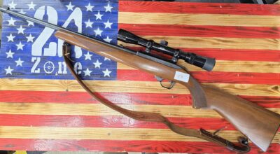 Ruger 10/22 22lr Semi Auto Rifle, Blued 18″