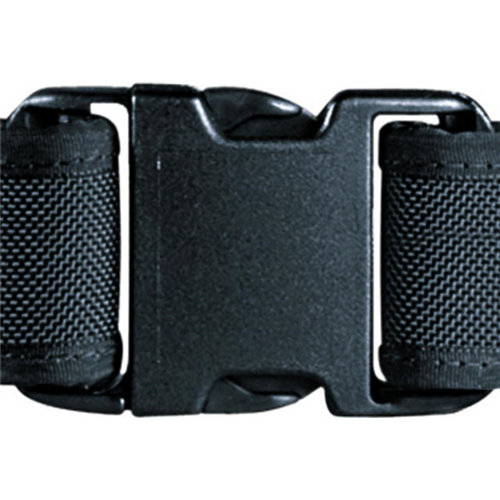 Bianchi Replacement Buckles 2″