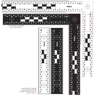 Reversible Scales (Set of 2) PPS600 & PPS601